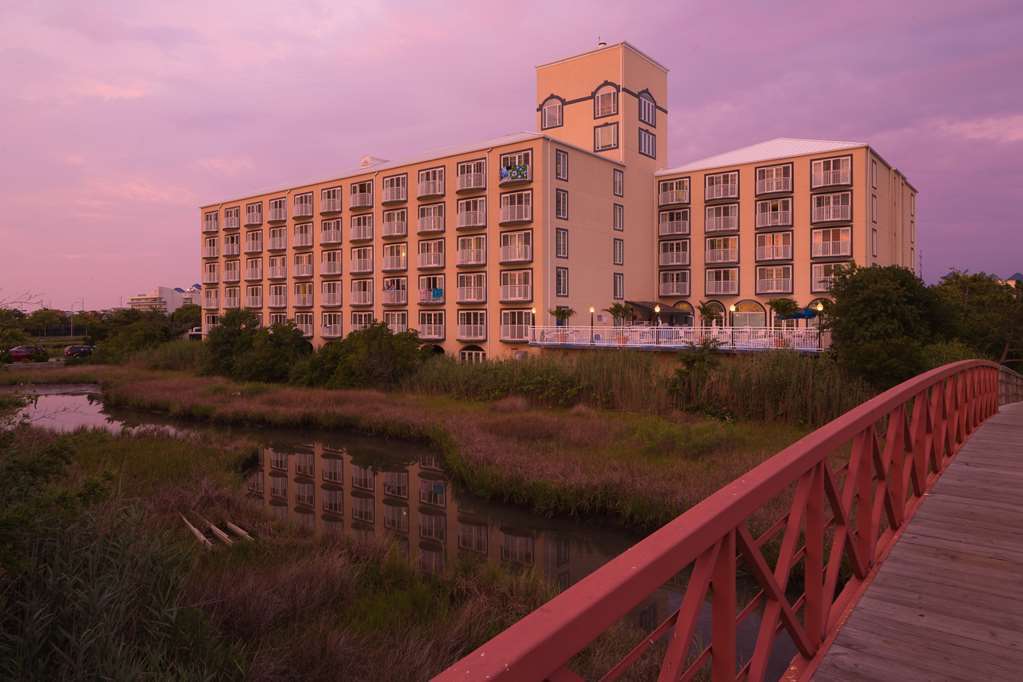 Coconut Malorie Resort Hotel, Ascend Hotel Collection Ocean City Exterior photo